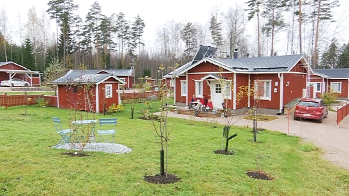 Suomen ainoa mummonmökkikylä on ikäihmisen toteutunut unelma – 
