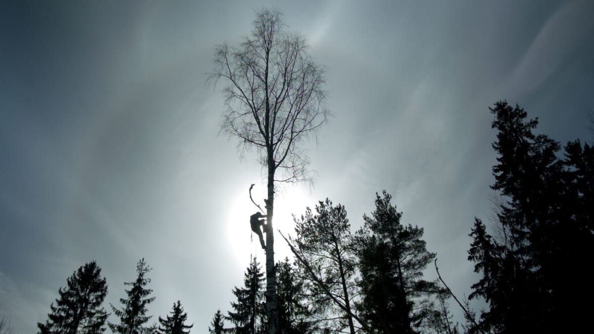 Einari Paakkanen selvittää esikoiselokuvallaan oliko hänen ufo-lapsuutensa totta.
