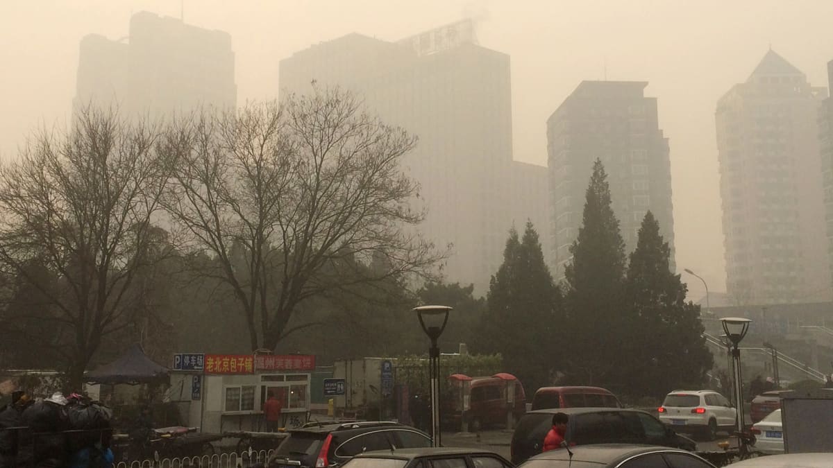 Peking savusumussa.