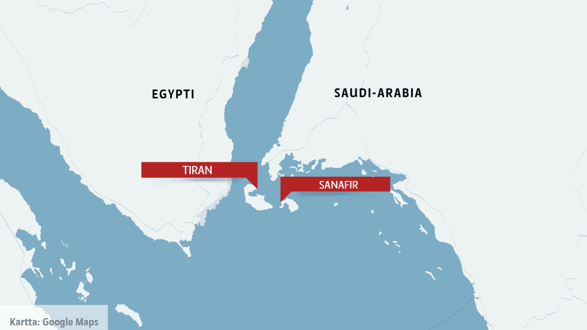 Oikeusistuin: Egypti ei saa luovuttaa kiisteltyjä saaria Saudi-Arabialle |  Yle Uutiset