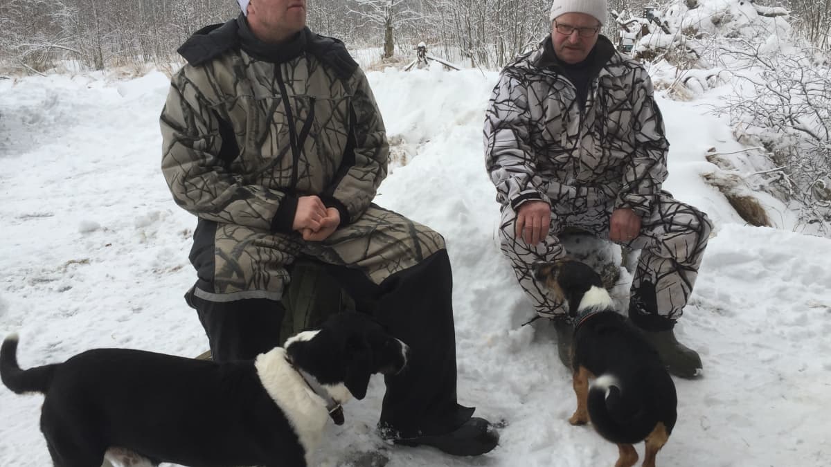 Tätä tekee suurin osa Suomen metsästäjistä - miehet ja koirat jännän  äärellä talvisessa metsässä | Yle Uutiset