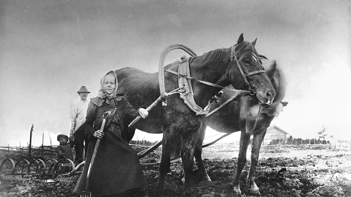Nuori tyttö seisoo kahden hevosen kanssa pellolla, takana hänen isänsä ja nuorempi veli.