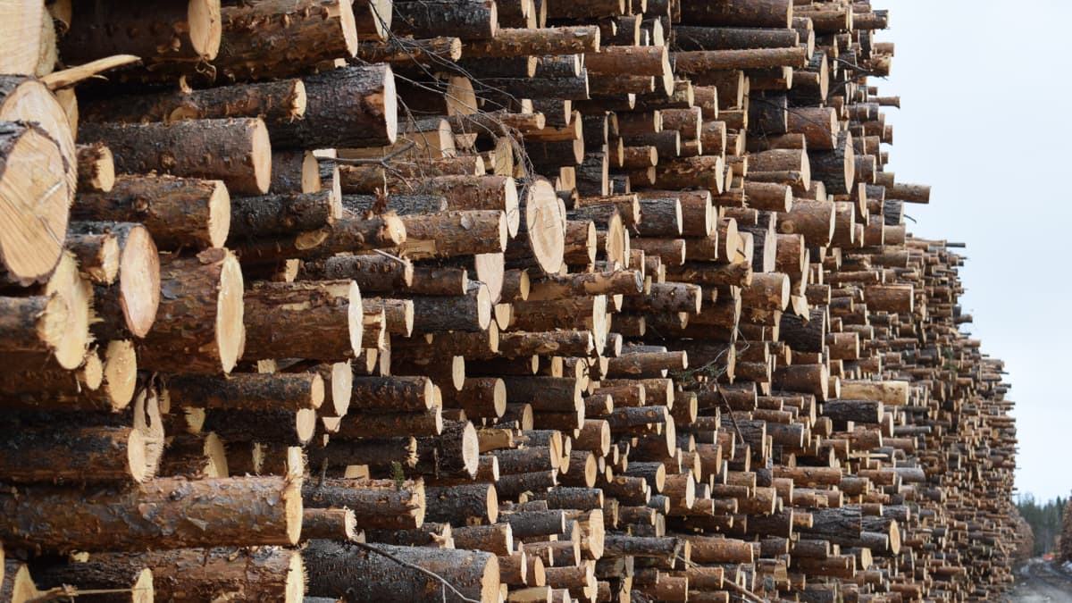 Kontiomäki–Suomussalmi-radan peruskorjauksessa alkoi kiireinen vuosi –  metsärata helpottaa rannikon tehtaiden puunsaantia