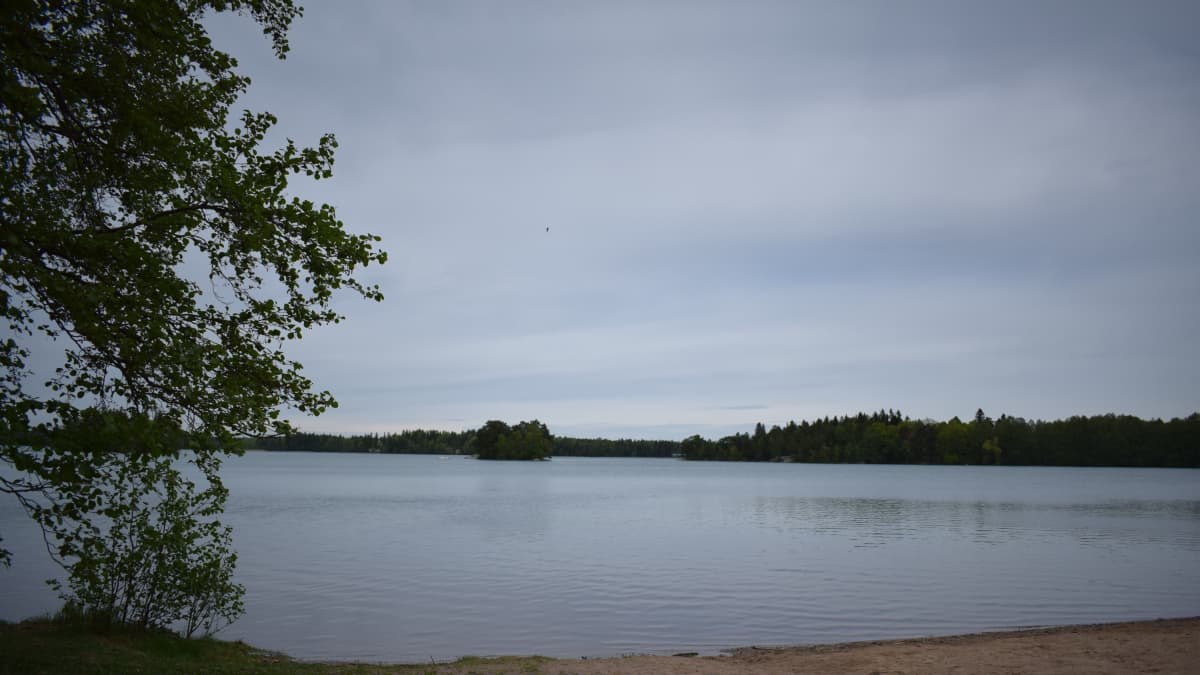 Littoisten järvi 30.5.2017 harmaalla säällä, kirkastuksen jälkeen. 