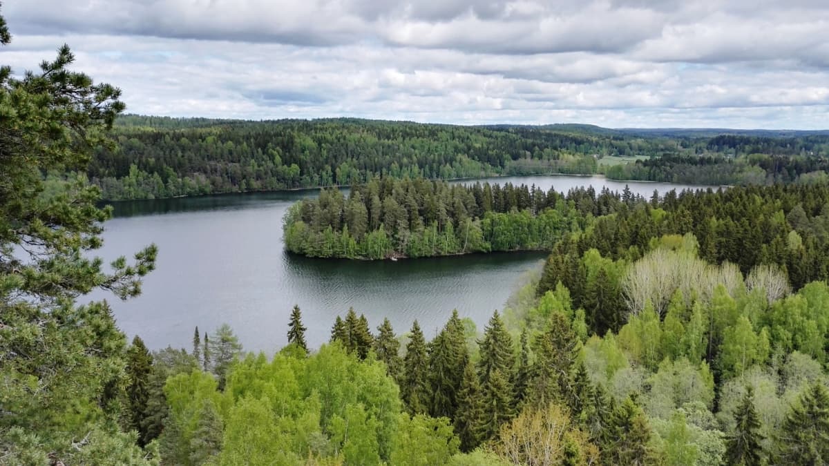 Hämeen luontokohteet ovat Suomen suosituimpia – pääkaupungin läheisyys  houkuttaa | Yle Uutiset