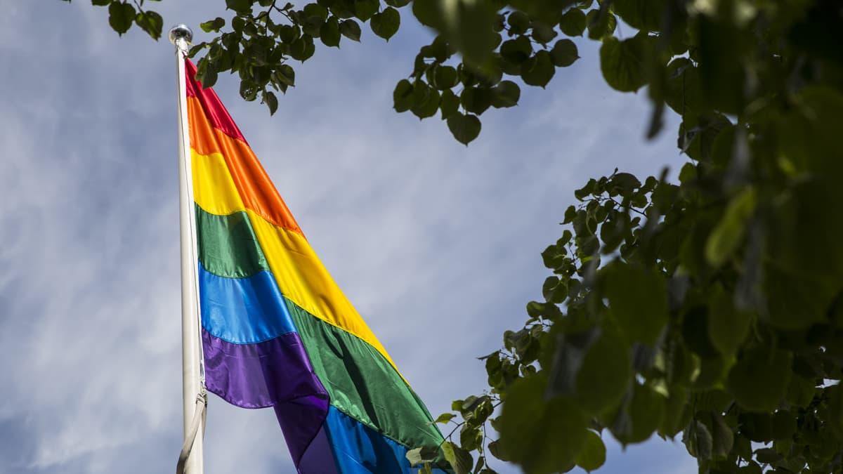 Pride-lippu Helsingin yliopiston edustalla