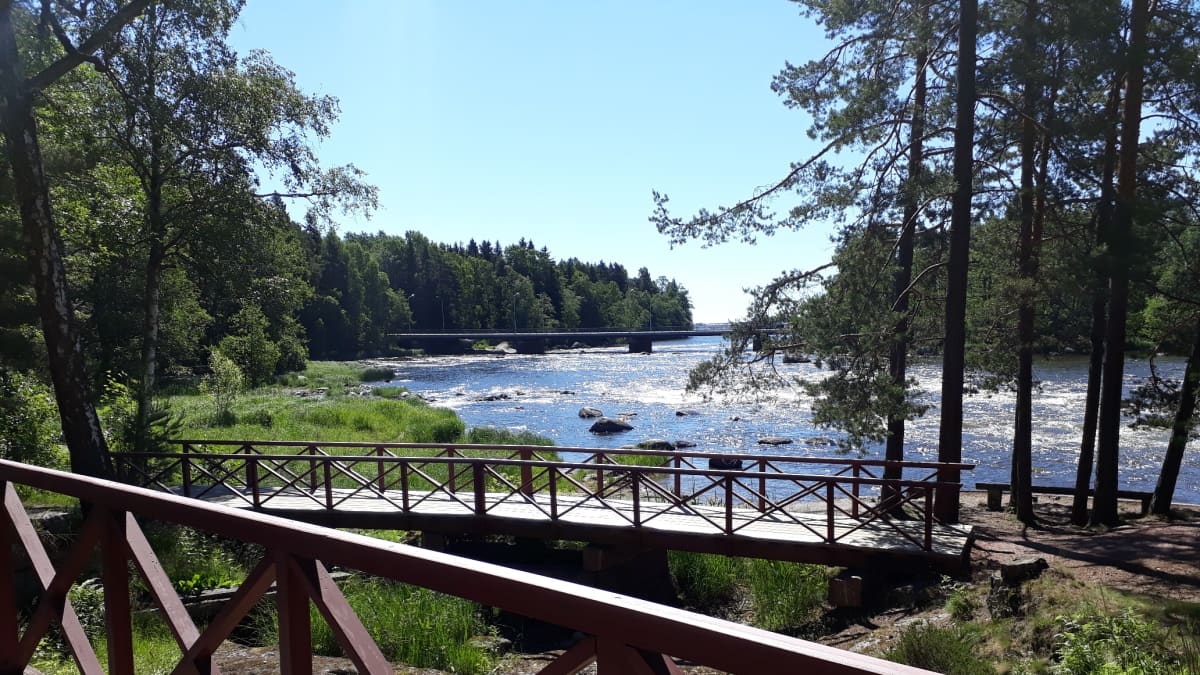 Langinkosken kuohut