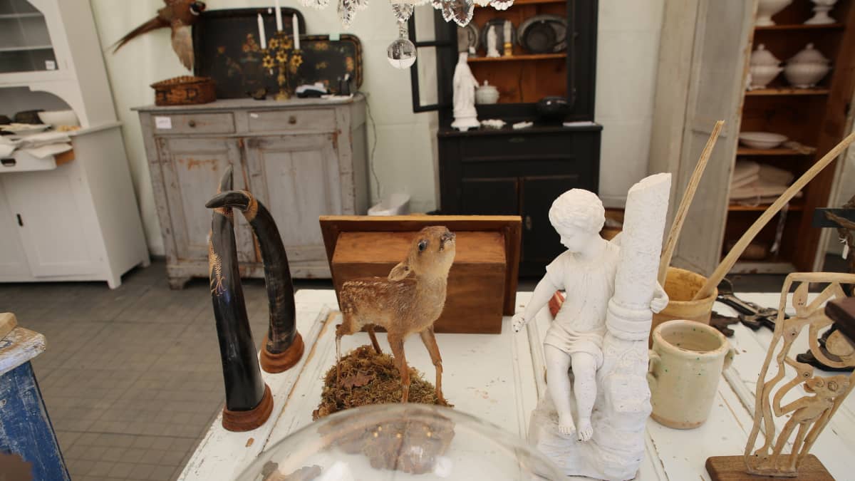 Antiikki antiikkikauppa Fiskarsin Antiikkipäivät täytetty eläin