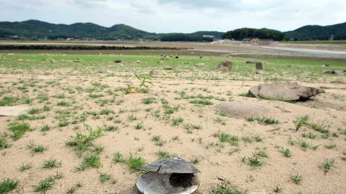 Incheonin säiliö kuivui kesäkuussa 2012 pitkään jatkuneen kuivankauden jälkeen Korean niemimaalla. Erityisesti Pohjois-Korealle ennakoitiin tuolloin vakavaa elintarvikepulaa. 