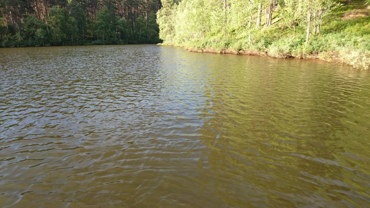 Lemmenjoki