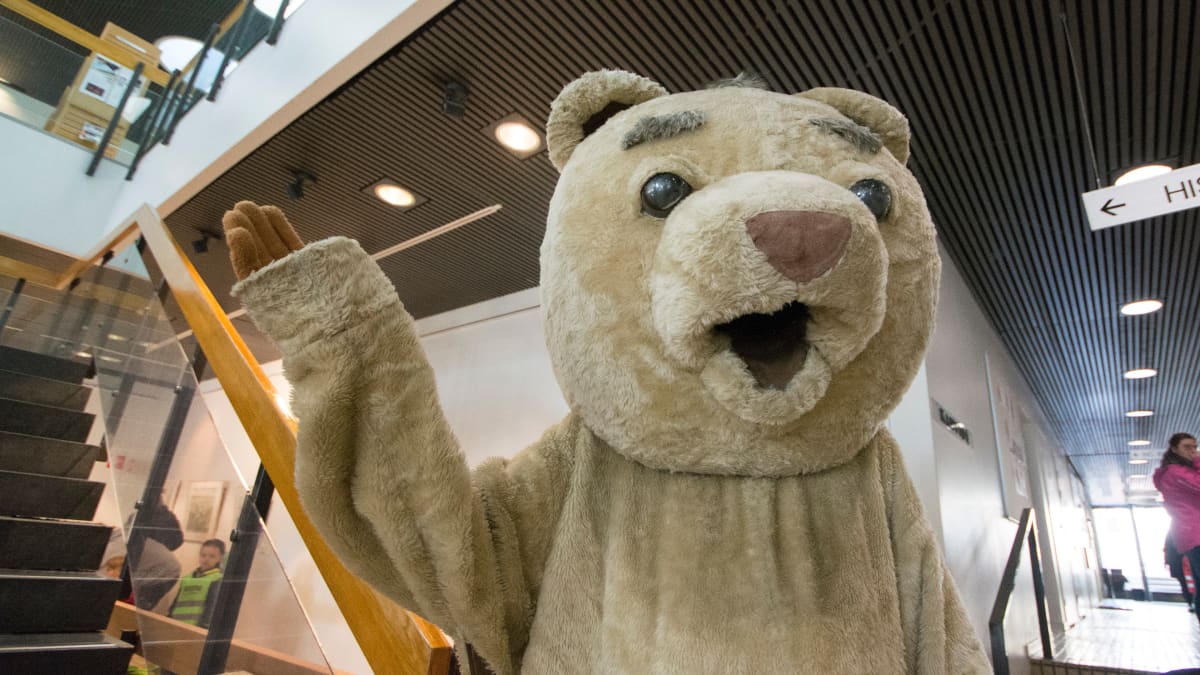 Uppo-Nalle.