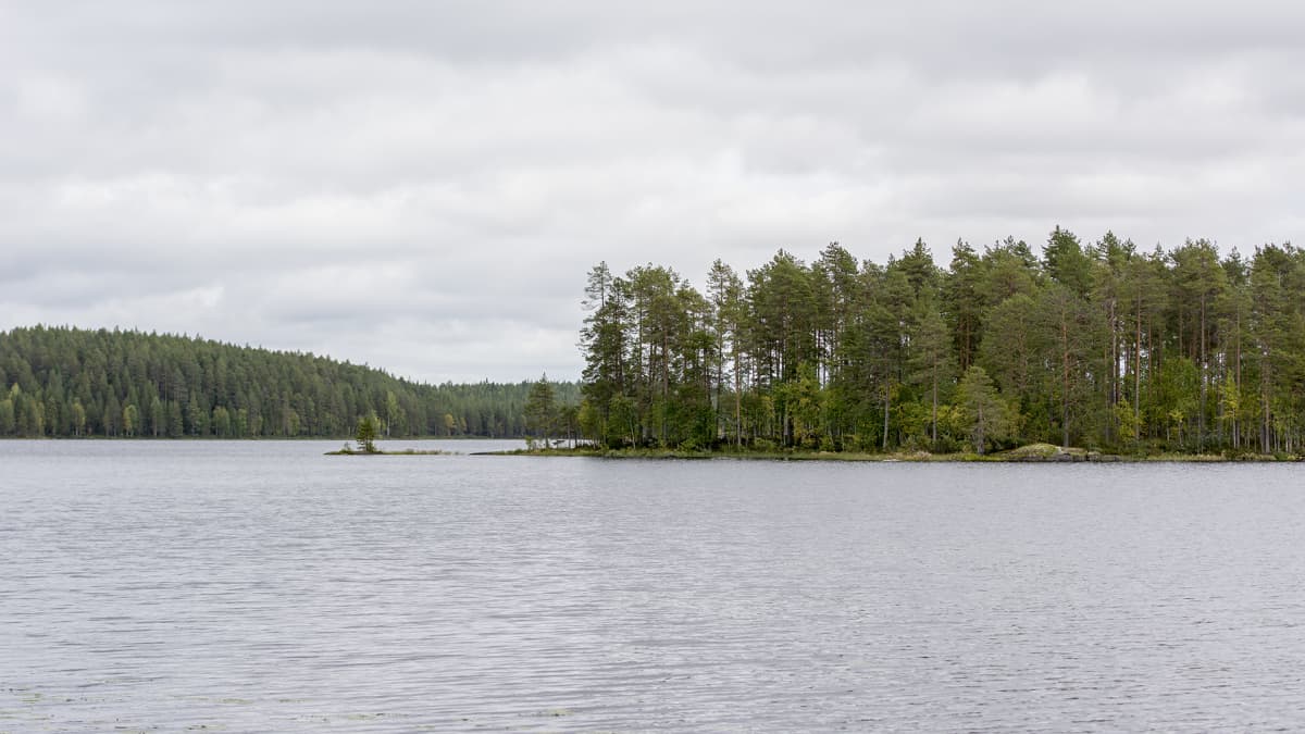 Maisema Lentua-järven rannalta.