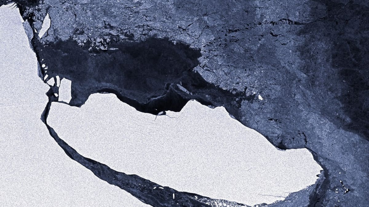 Alue jäätä on juuri irronnut suuremmasta alueesta ja railo on levenemässä. 
