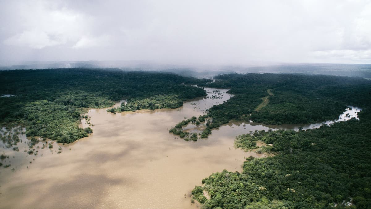 amazonin joki brasiliassa