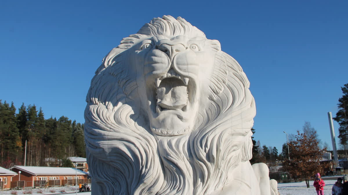 Naaraasta tulikin uros – Suomen kuuluisin leijona sai erikoisen  muistomerkin | Yle Uutiset