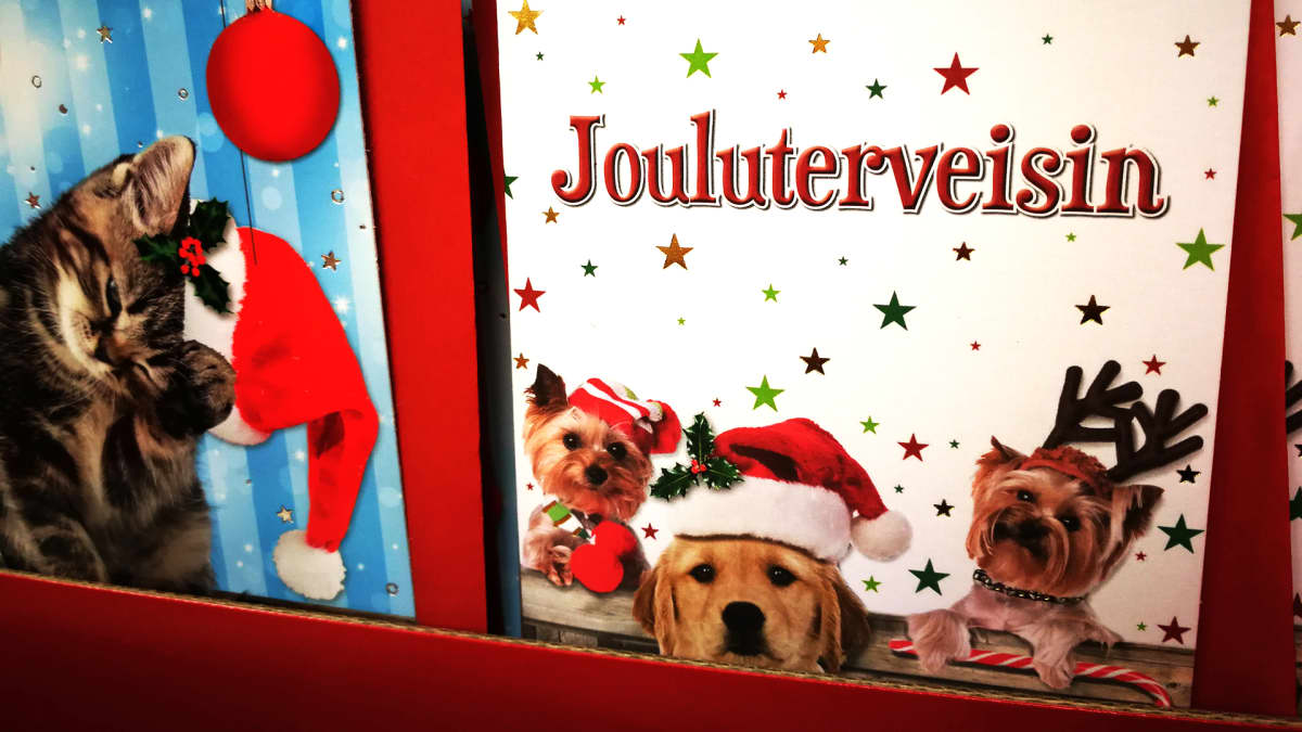 Jouluiloa yksinäisille – ikäihmisten joulukorttikampanja on alkanut | Yle  Uutiset