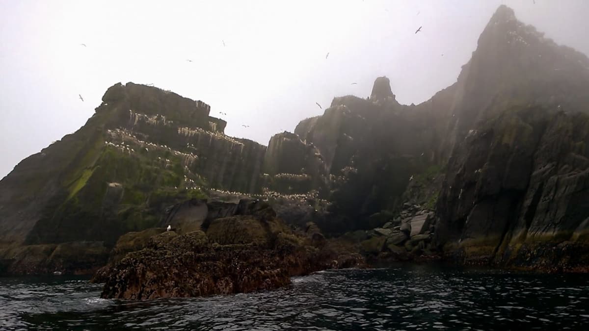Little Skellig on kymmenien tuhansien lintujen koti, ja saarelle nousu on tyystin kielletty.
