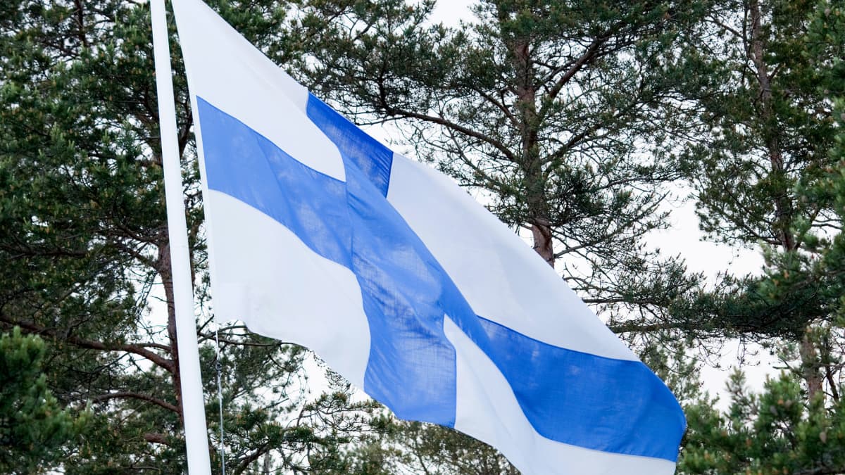 Haminan kaupunginjohtaja haaveilee yhä maailman suurimmasta Suomen lipusta  ja 100 metriä korkeasta salosta: 