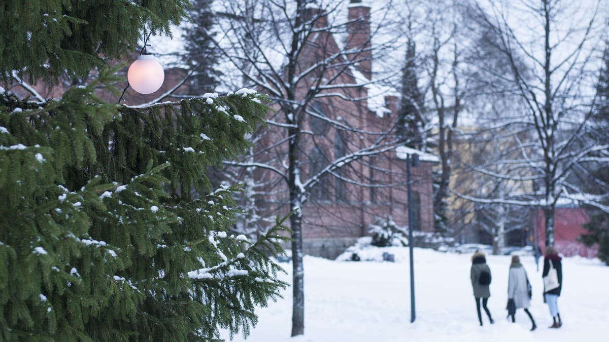 Iso joulukuusi ja kirkkopuiston kirkko taustalla