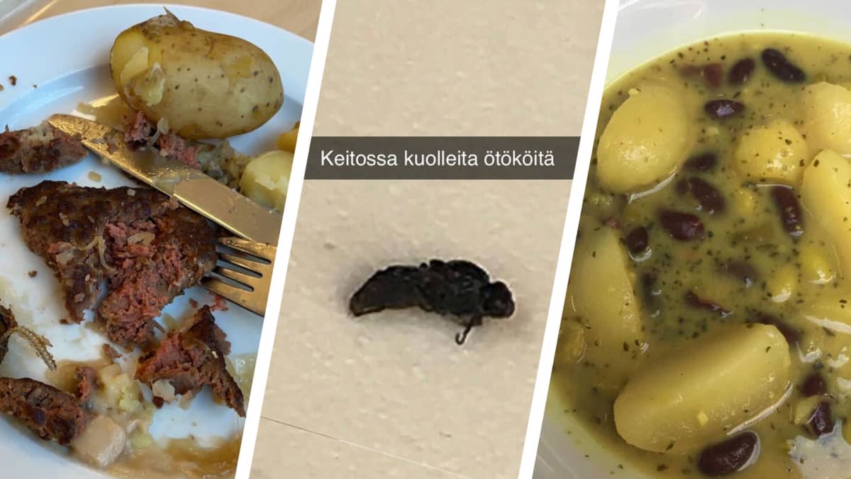Ötökkä keitossa, mätiä perunoita ja kesken loppuvaa ruokaa – oppilaat  kypsyivät Vantaan kouluruokailun ongelmiin, kaupunki kiistää