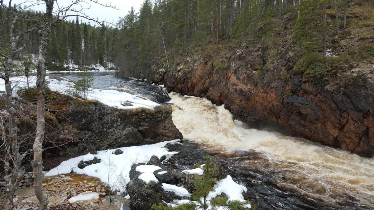 Kiutaköngäs tulvii, Tulva uhkaa Karhunkierrosta