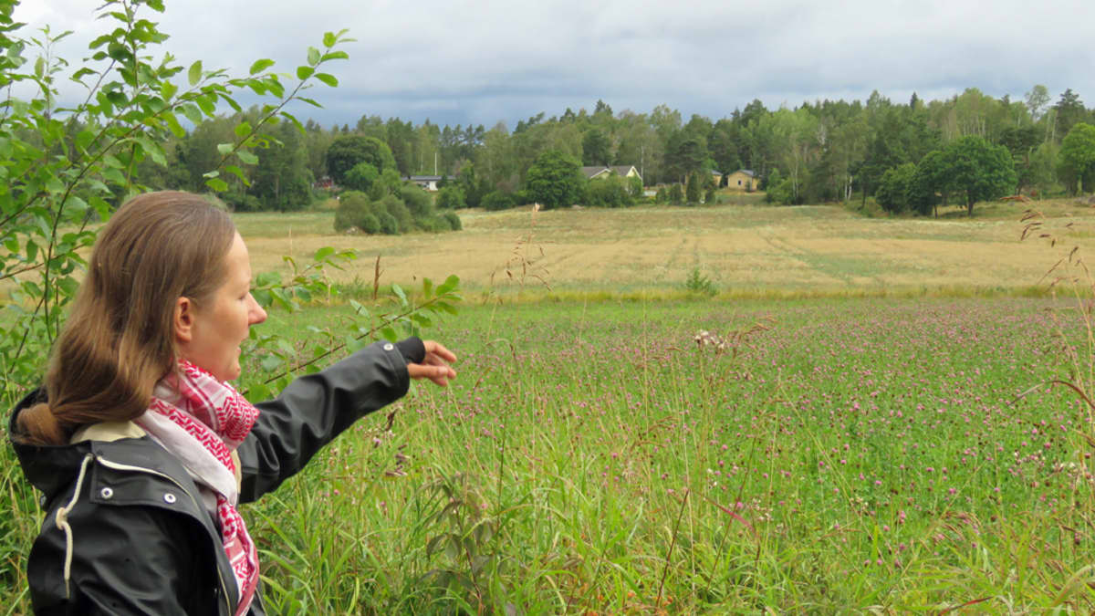 Arkeologi Kristin Ilves osoittaa kädellä apilaniityn yli pellolle. Taustalla häämöttää maalaistalo. 