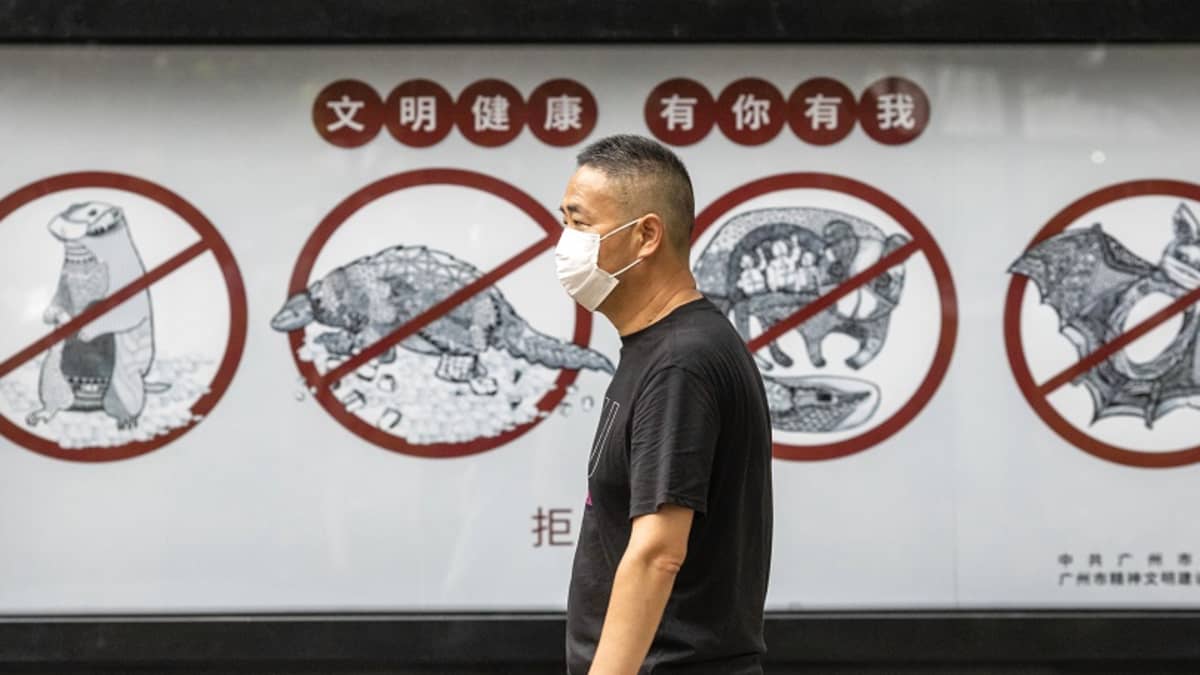 Mies ohittaa maski kasvoillaan julisteen, jossa on kiinankielistä tekstia sekä lepakon ja kolmen muun eläimen kuva punaisissa ympyröissä yli ruksittuina. 