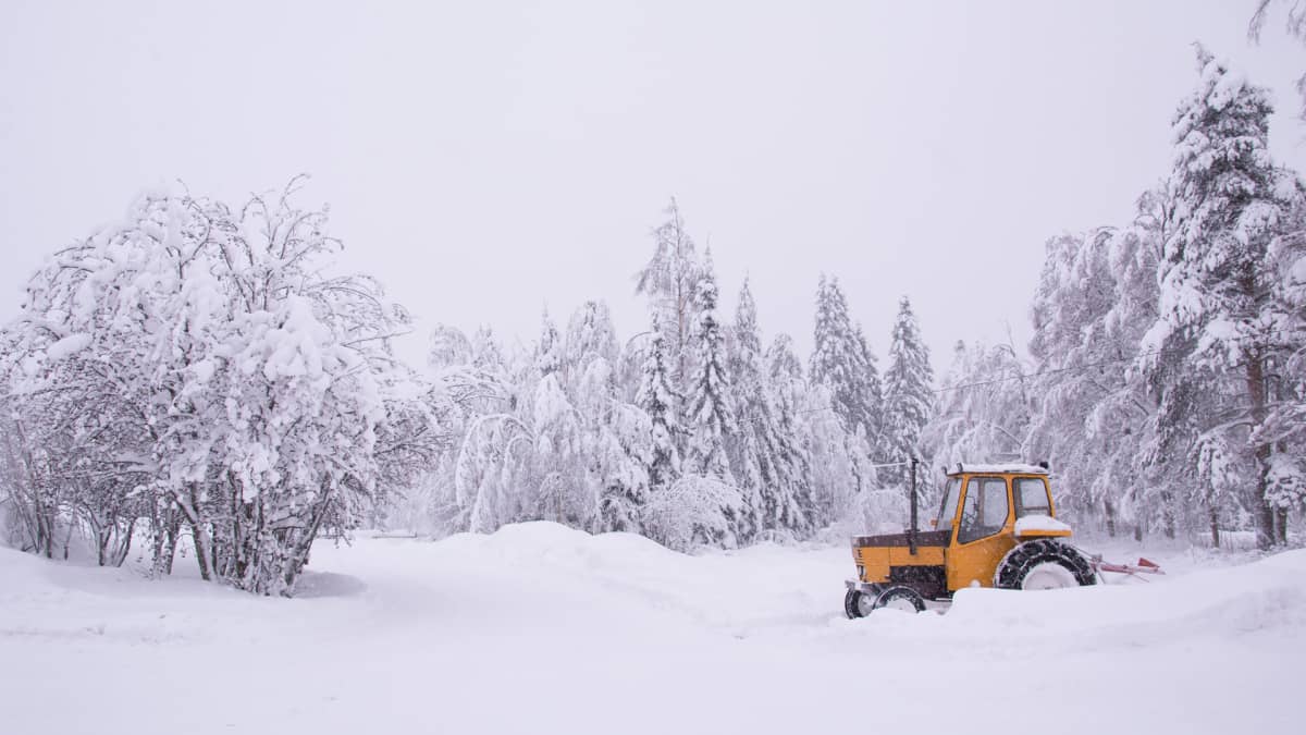 Keltainen traktori lumisessa pihassa.