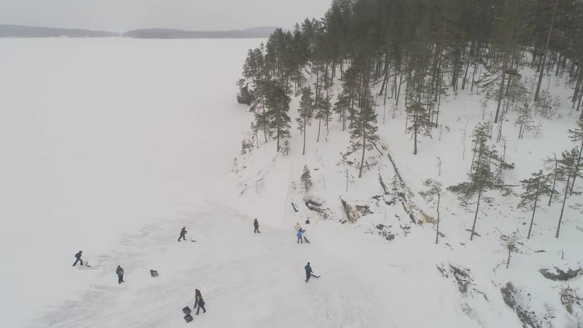 Vapaaehtoiset kolasivat saimaannorpalle pesäkinoksia Savonlinnan Pihlajavedellä viime helmikuun alussa.