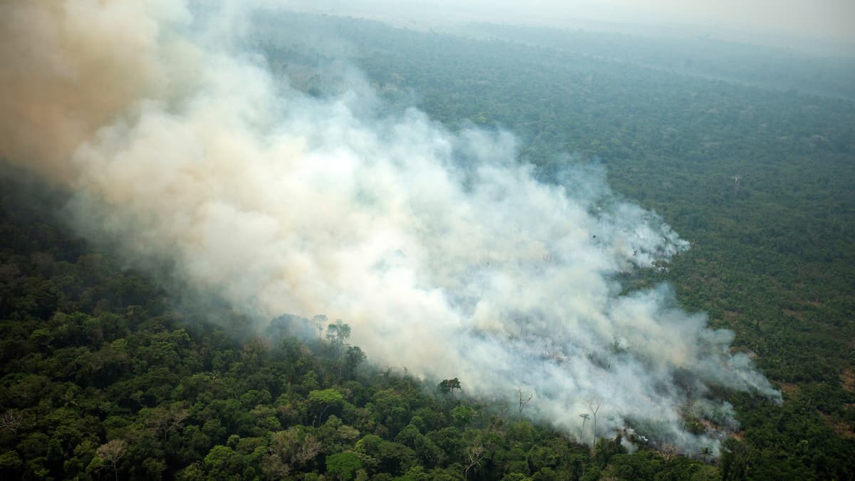 Ilmakuva Porto Velhosta Rondoniasta Amazonin sademetsän eräältä paloalueelta Brasiliassa 23. elokuuta. 