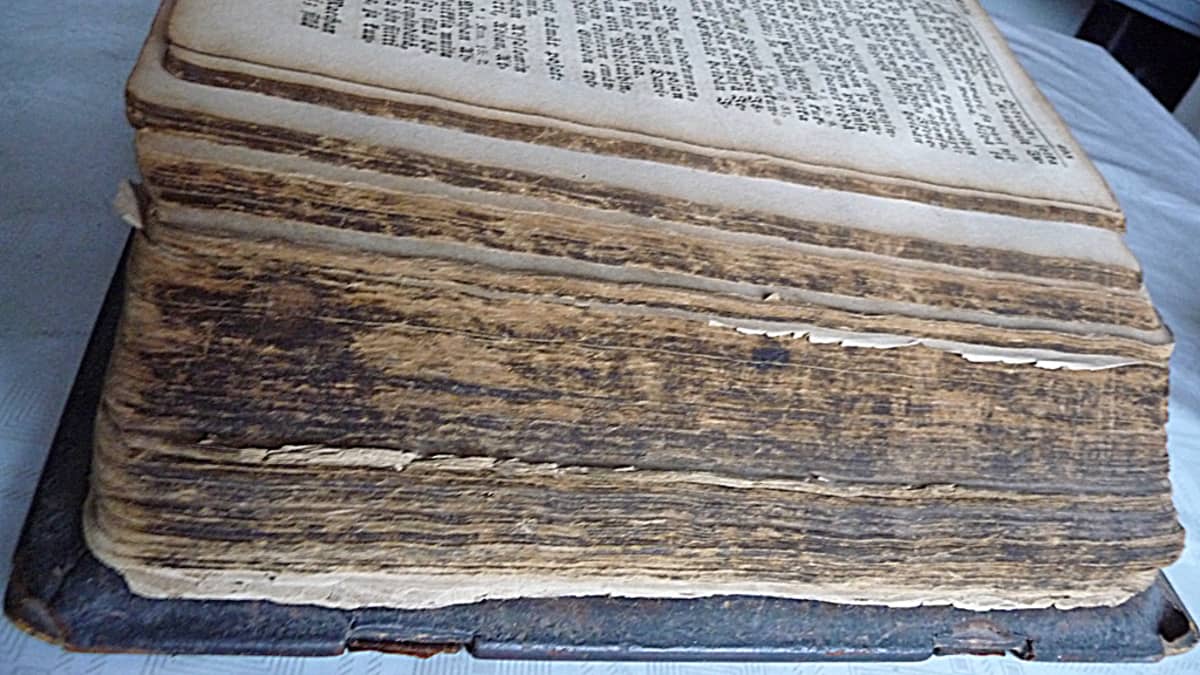 Noin 250 vuotta vanhan Raamatun sivut ovat ruskistuneet, ja ajan patina näkyy selkämyksessä ja sivujen reunoissakin.