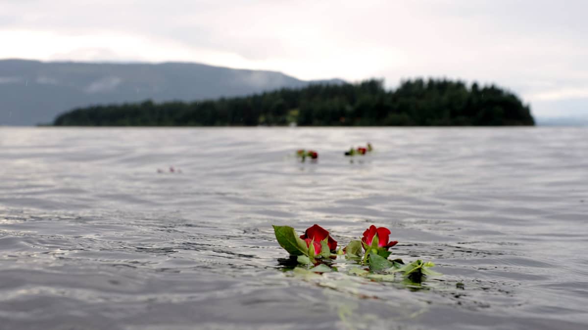 Ruusuja kellumassa vedessä Utøyan saaren edustalla.