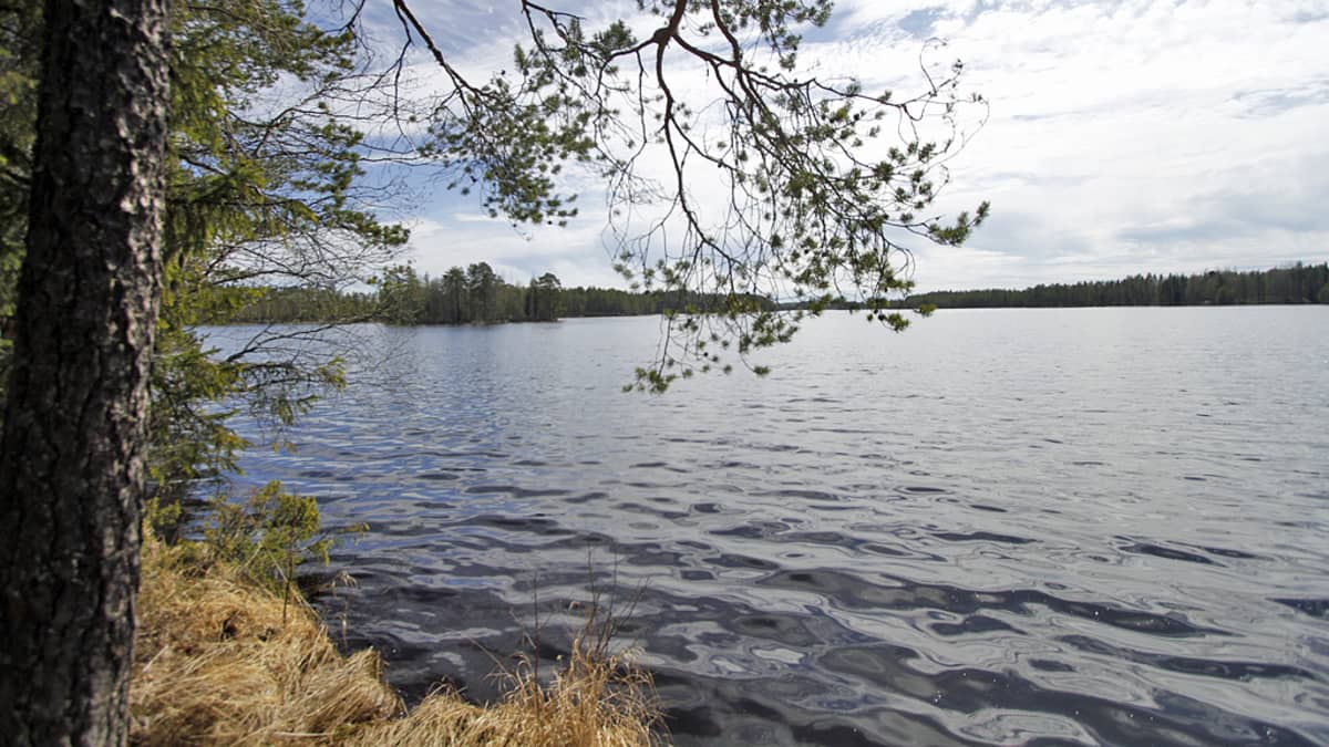 Kivijärvi sijaitsee Talvivaaran eteläpuolella.