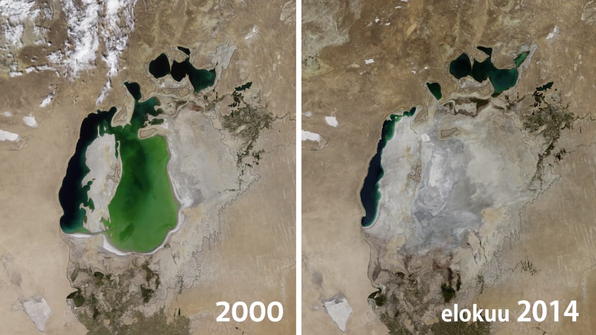 Satelliittikuvat Araljärvestä vuosilta 2000 ja 2014.