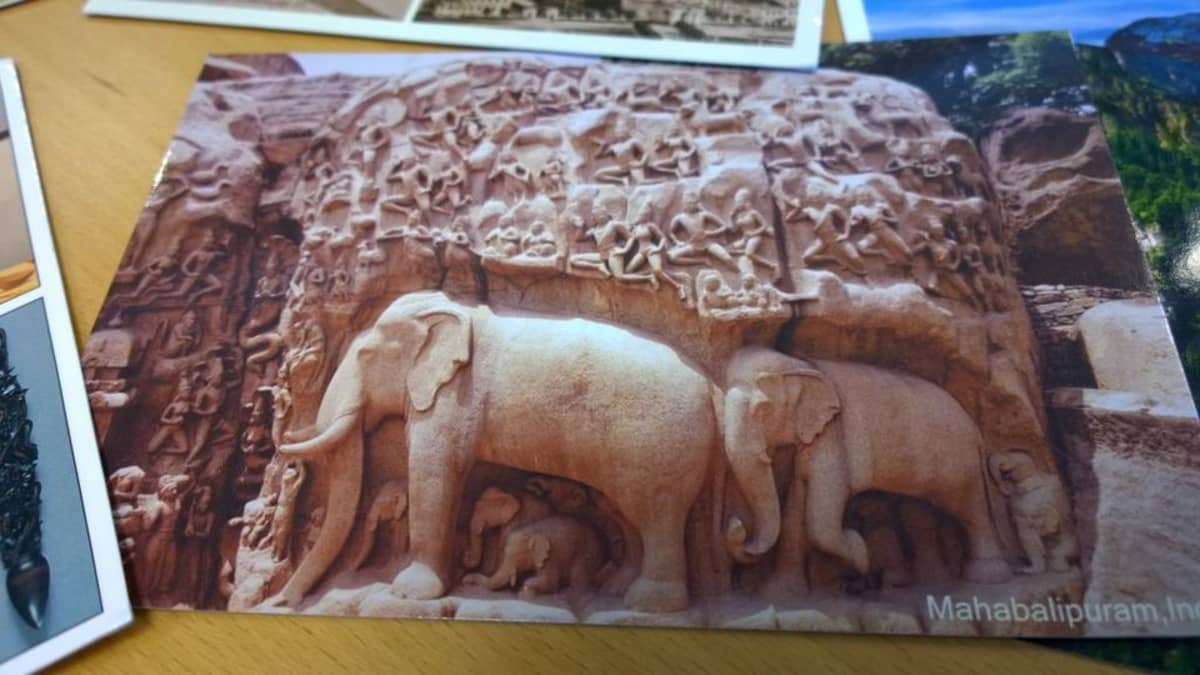 Postikortti, jossa kallikaiverrus elefanteista