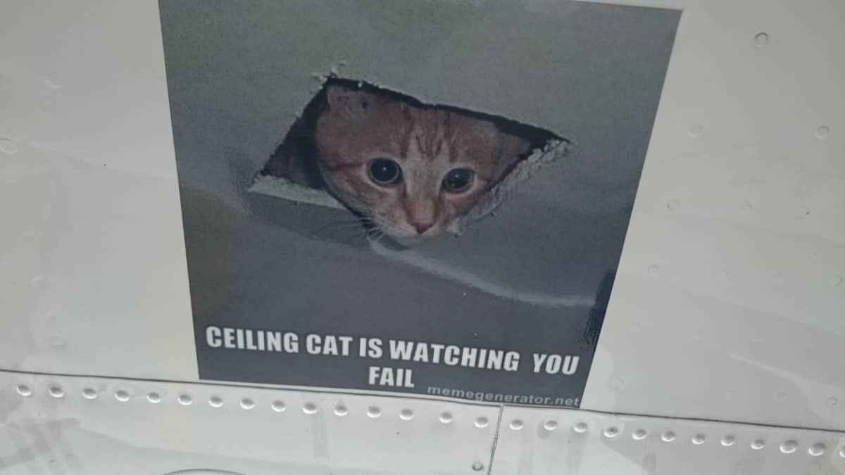 Laskuvarjohyppääjien lentokoneen siipeen on kiinnitettykannustava kissa-meemi.