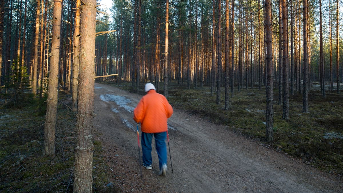 Vanhus sauvakävelee metsässä.