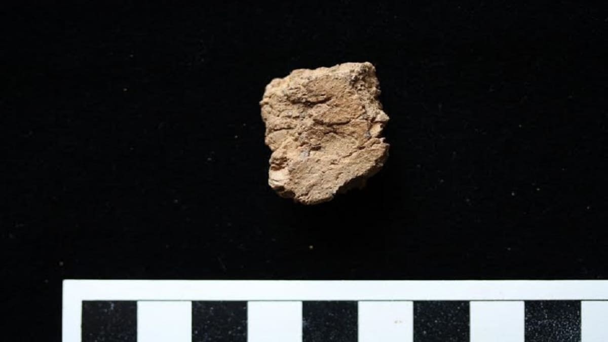 Haminan Viidankankaan yleisökaivauksissa löytyi keramiikanpala, johon on heikosti painunut tuhansia vuosia sitten eläneen ihmisen sormenjälki.