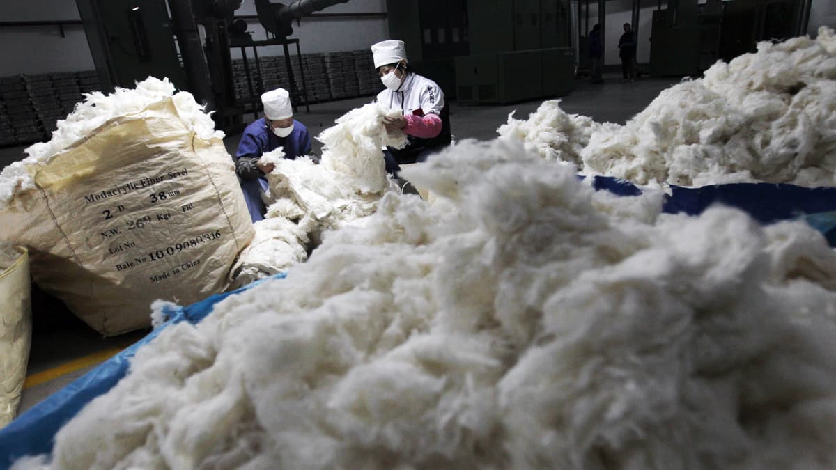 Kiinalaiset työntekijät käsittelevät raakapuuvillaa tekstiilitehtaassa Pekingissä joulukuussa 2011.