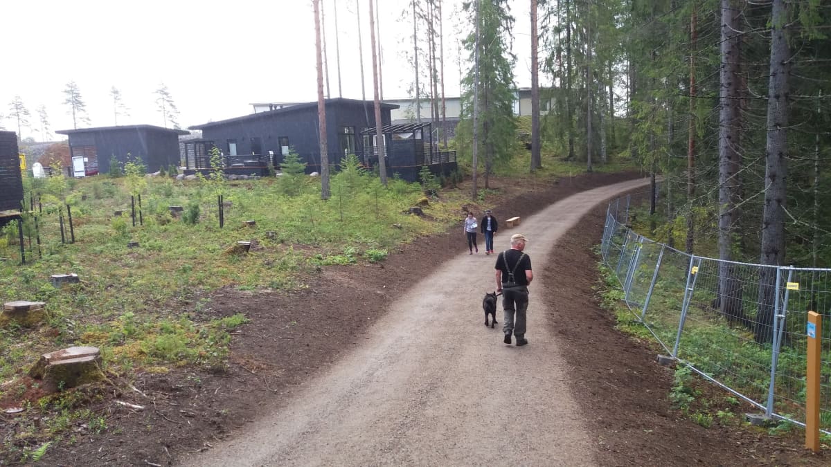 Luonnnonsuojeluliiton Etelä-Savon piirin toiminnanjohtaja Timo Luostarinen ja hänen koiransa australiankelpie Manu Mikkelin asuntomessualueella kävelemässä.