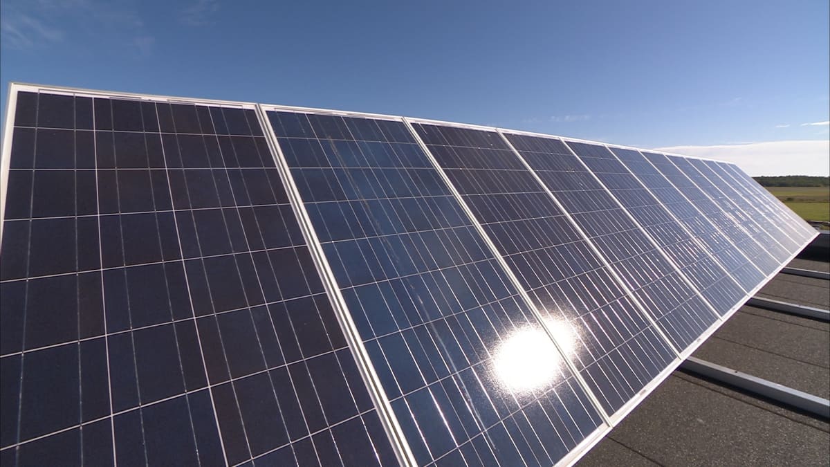 Aurinkopaneeleiden kasvu jatkuu hurjana – Etelä-Savossa lisäystä 40  prosenttia | Yle Uutiset