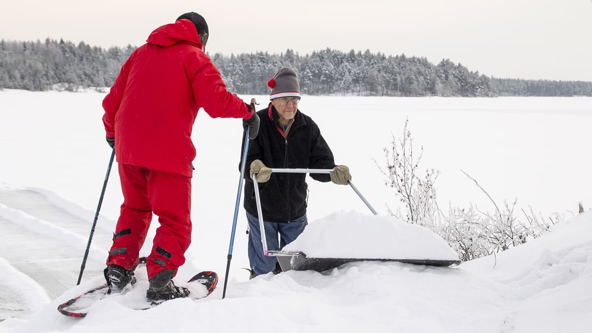 Kaksi miestä kolaa apukinoksia norppien pesämateriaaliksi Saimaalla.