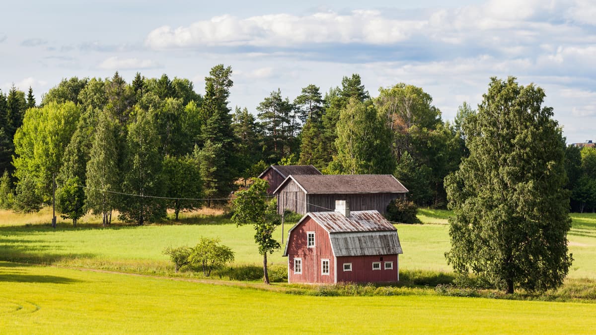 Professori Arto O. Salonen ei iloitse koronakriisistä, mutta näkee sen  jälkeisessä ajassa paljon positiivista