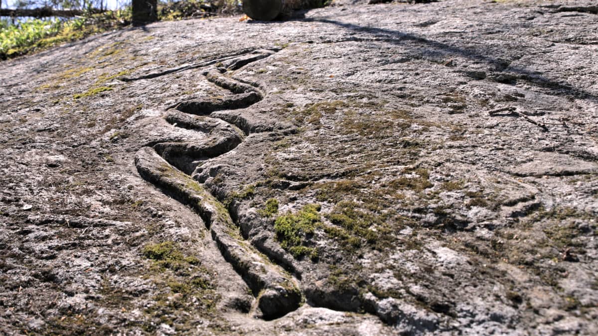 Kallioon kaiverrettu käärmekuvio