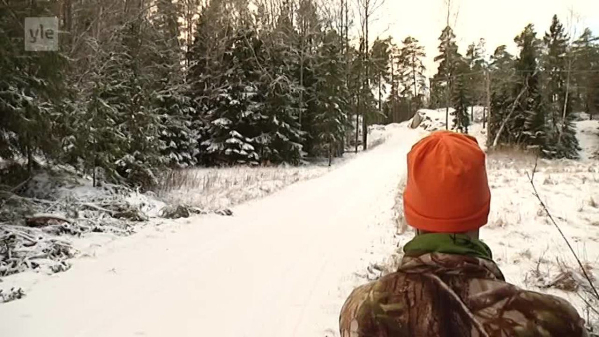 jousimetsästys jousimetsästys