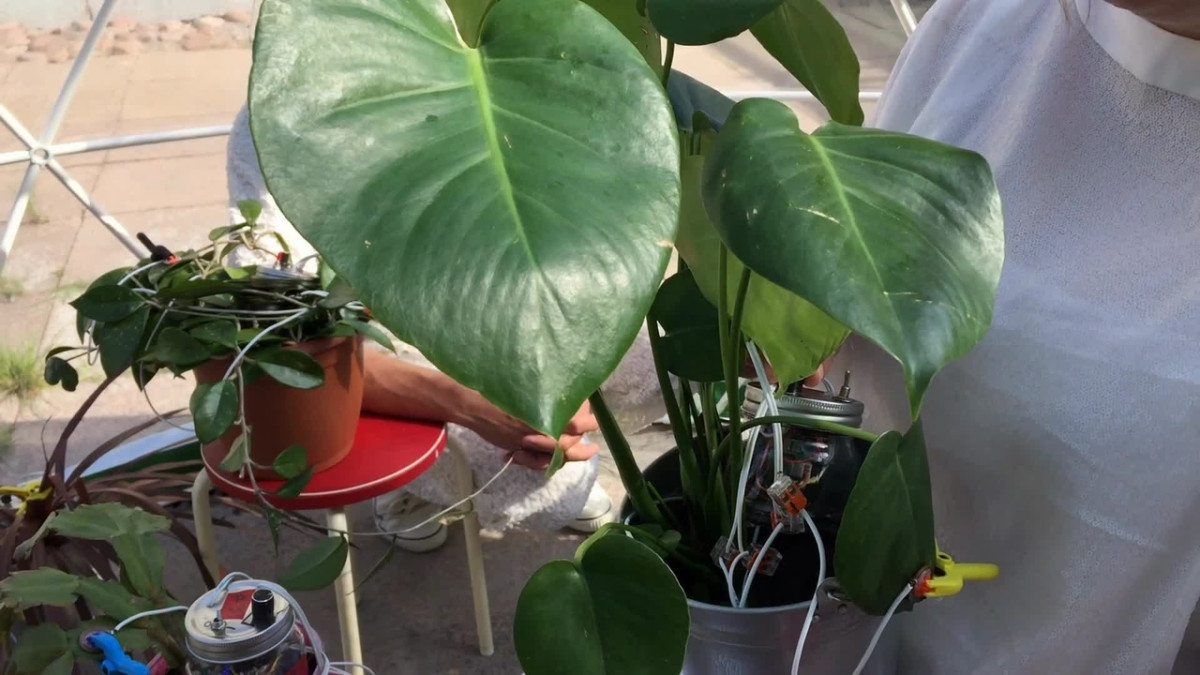 soolo suihkutauima-allas suku puoli video