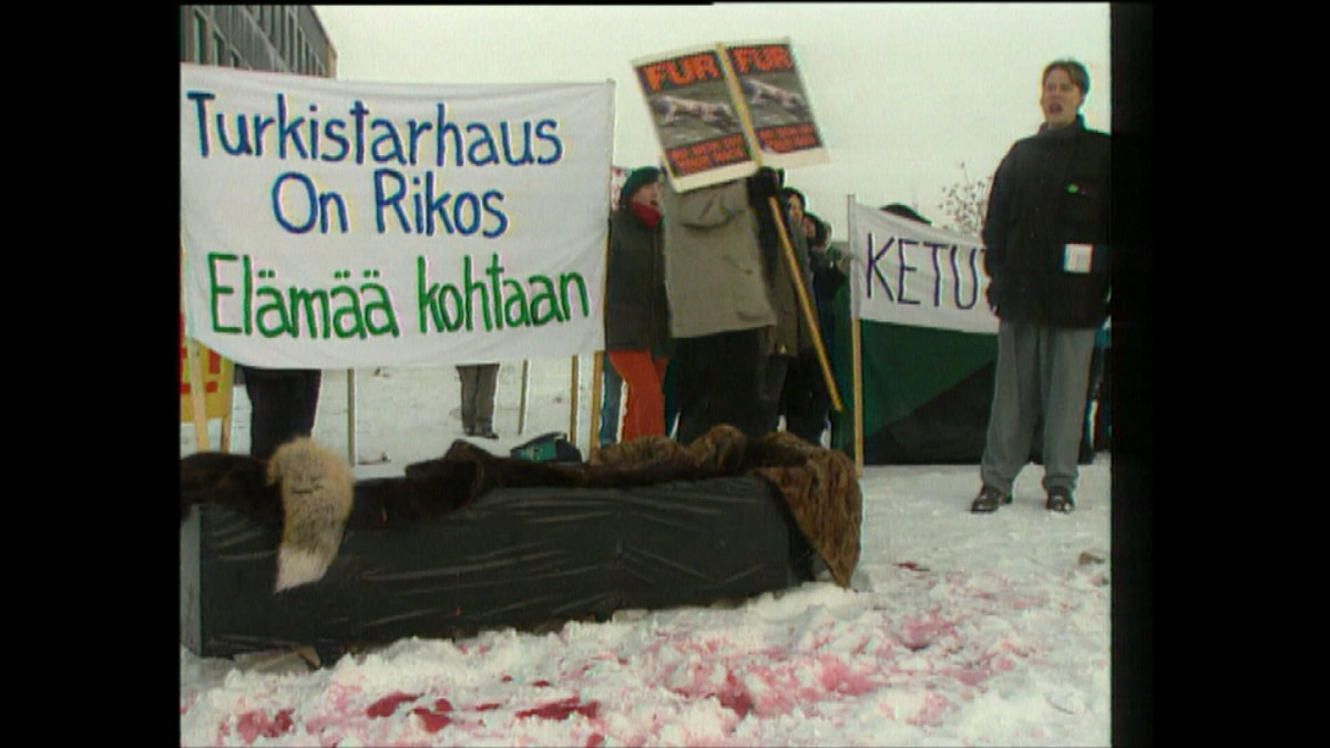 Turkistarhauksen vastaisia mielenosoittajia Kauhavalla 1.12.1995