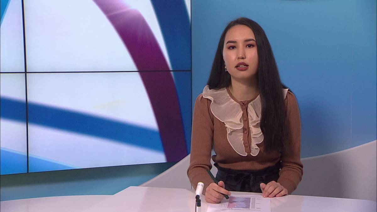 Uutistenlukija Zahra Karimy