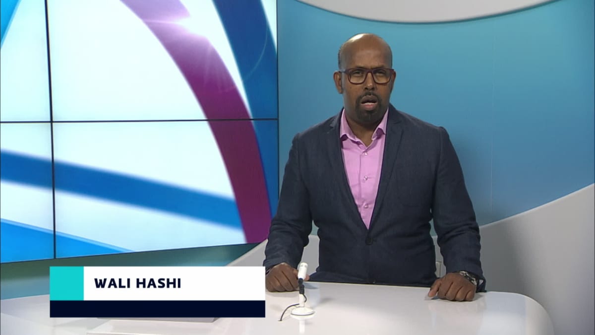 uutistenlukija Wali Hashi