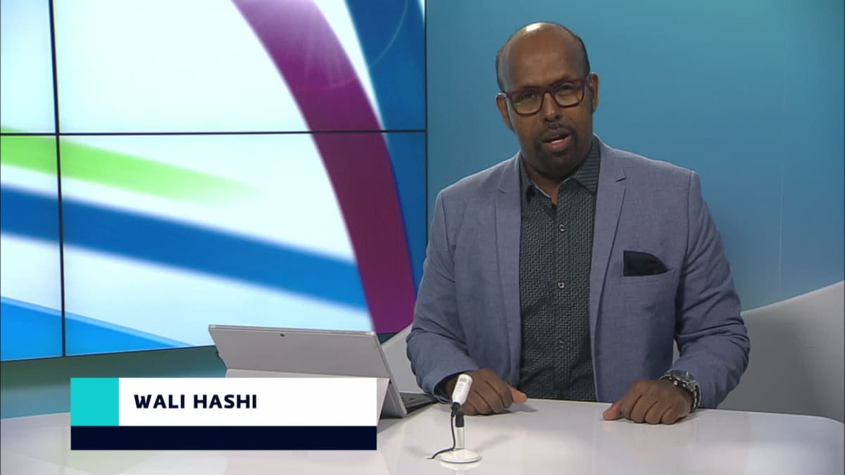 uutistenlukija Wali Hashi